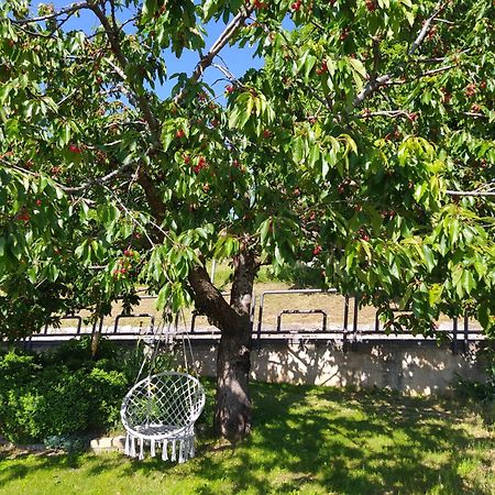 Casa Zucol Lägenhet Sarnonico Exteriör bild