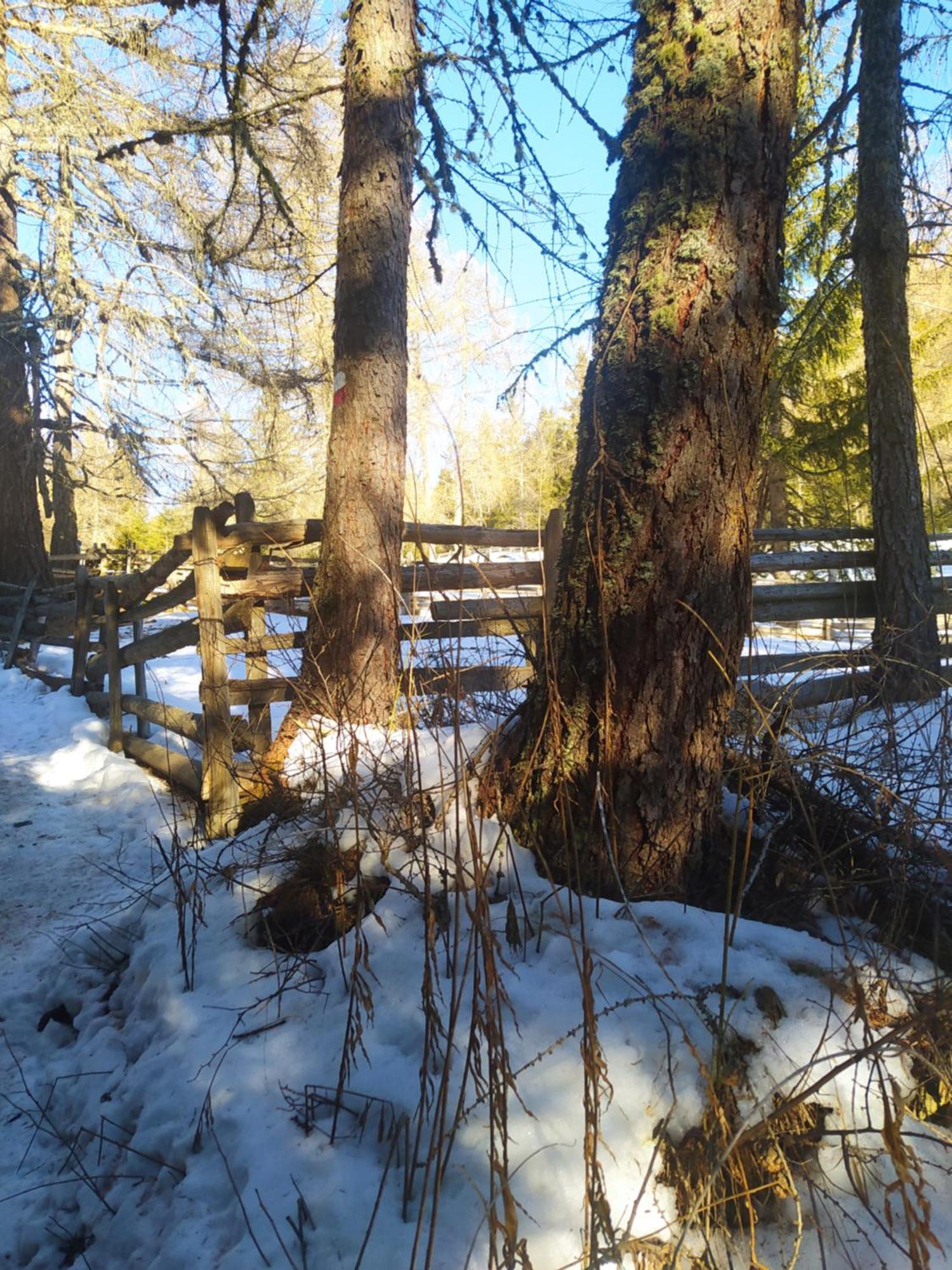 Casa Zucol Lägenhet Sarnonico Exteriör bild