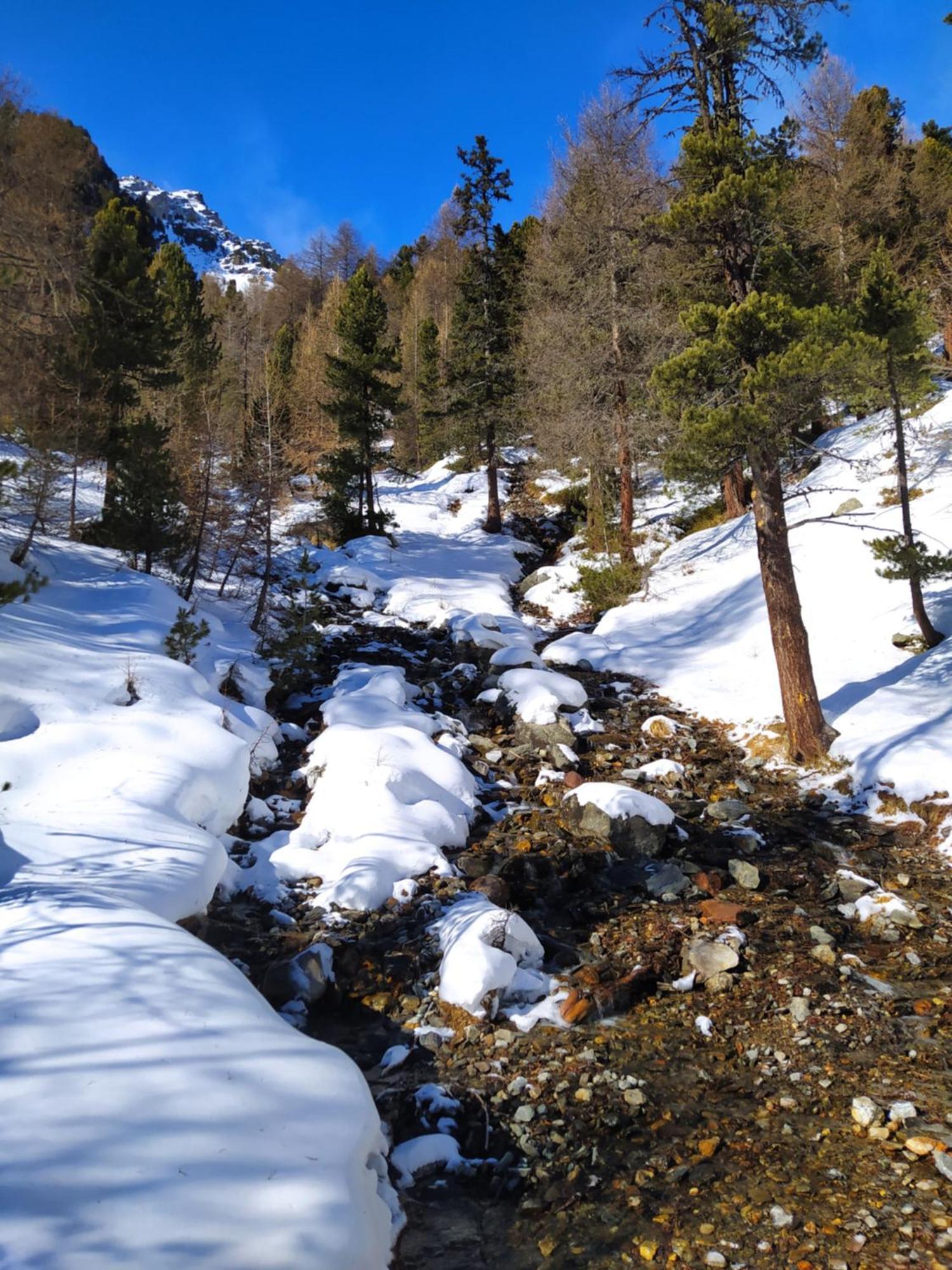 Casa Zucol Lägenhet Sarnonico Exteriör bild