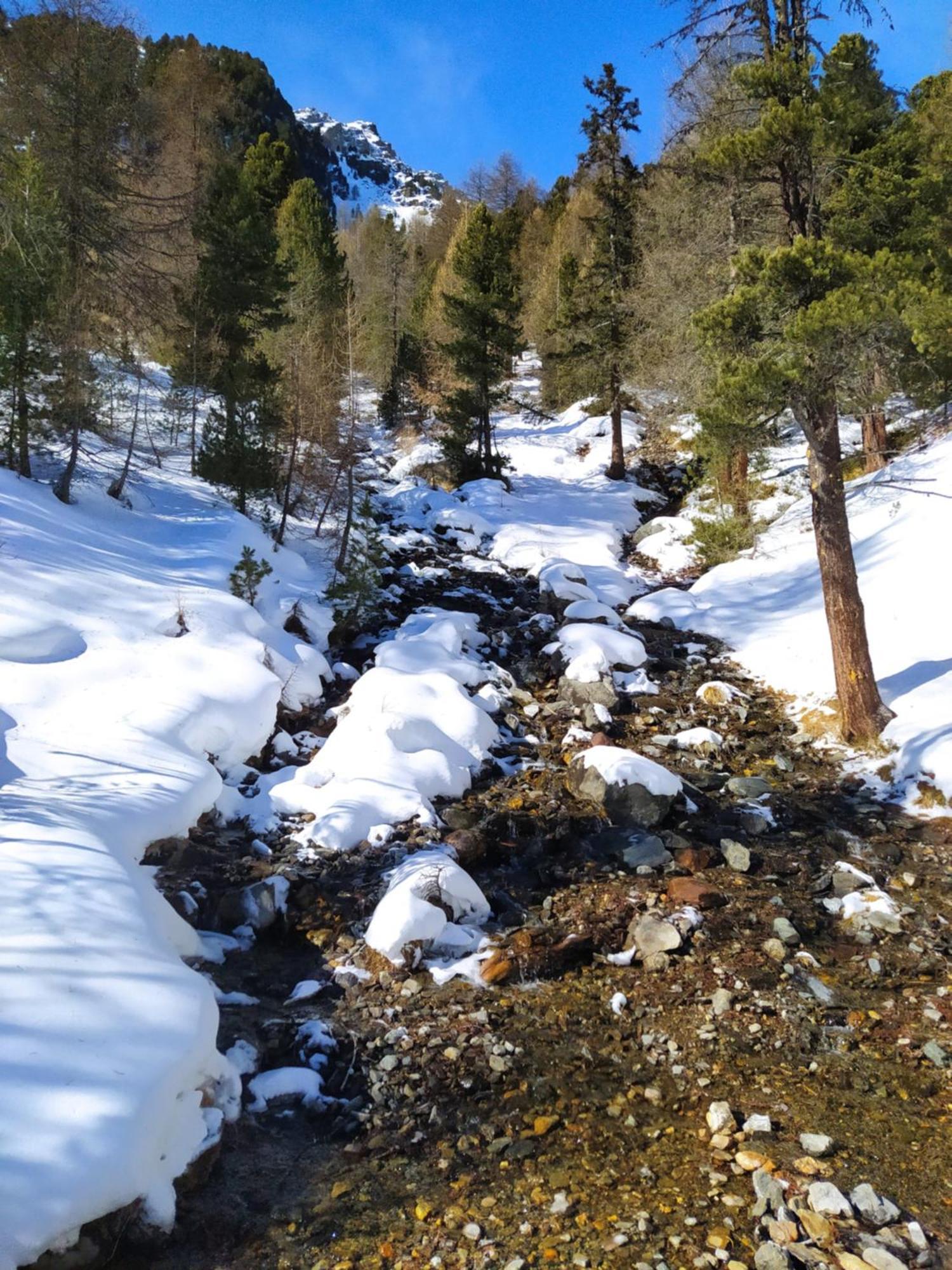Casa Zucol Lägenhet Sarnonico Exteriör bild
