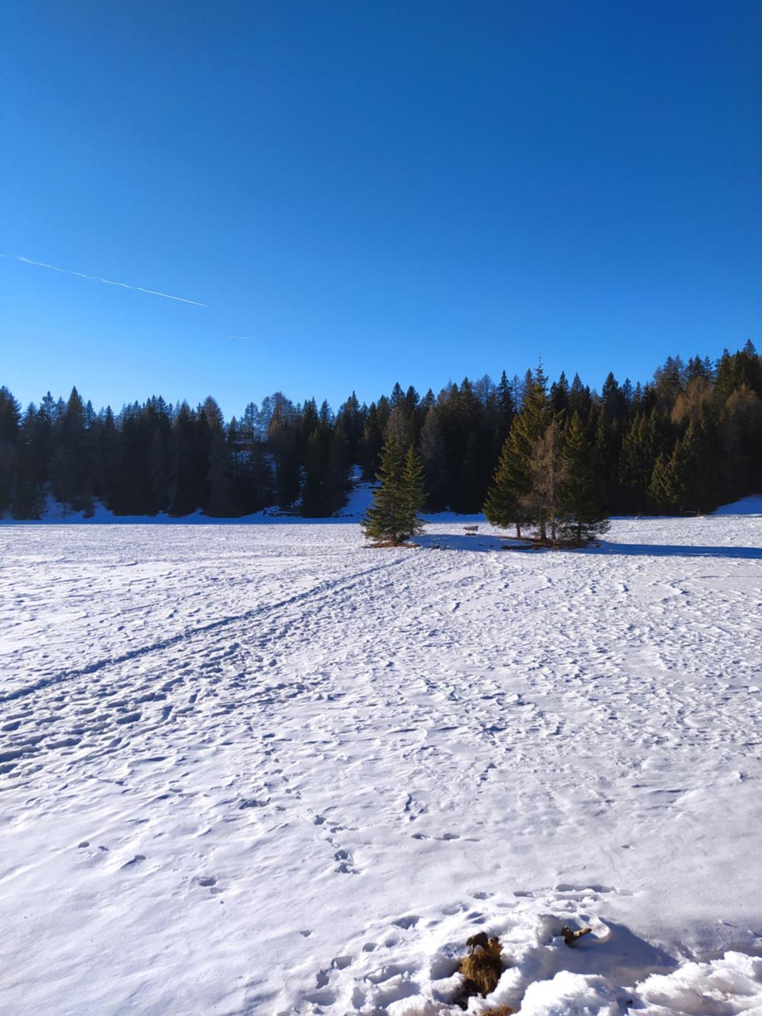 Casa Zucol Lägenhet Sarnonico Exteriör bild