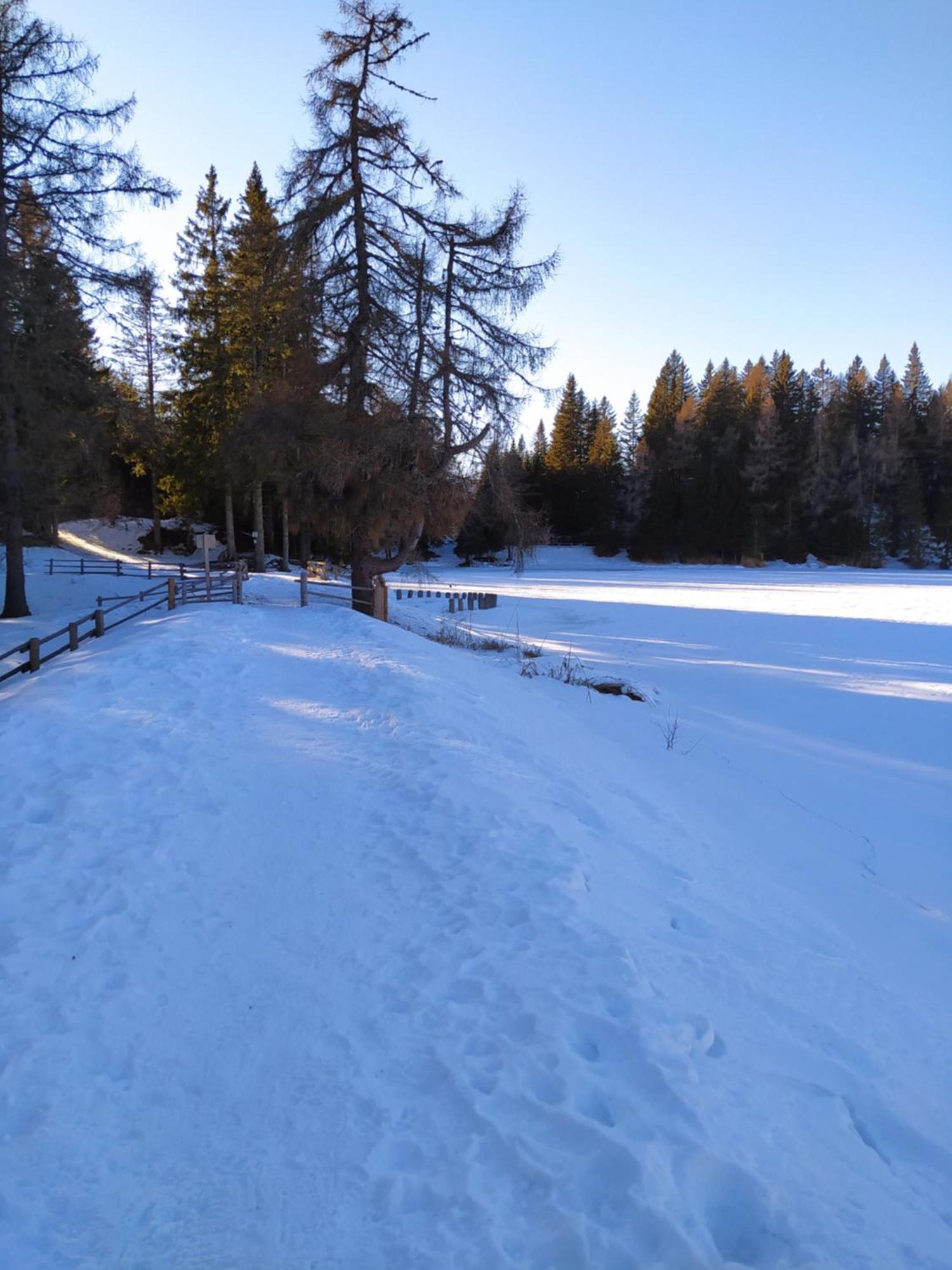 Casa Zucol Lägenhet Sarnonico Exteriör bild