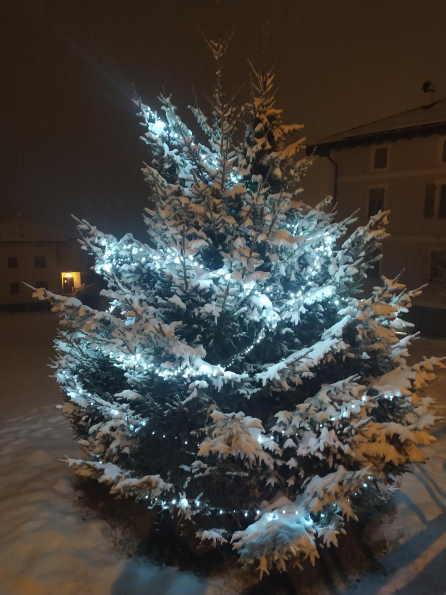 Casa Zucol Lägenhet Sarnonico Exteriör bild