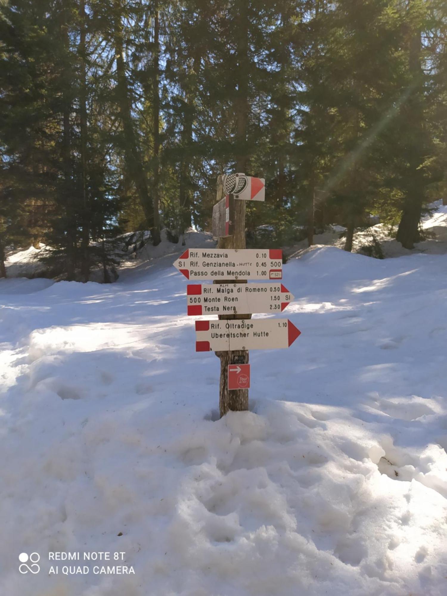Casa Zucol Lägenhet Sarnonico Exteriör bild