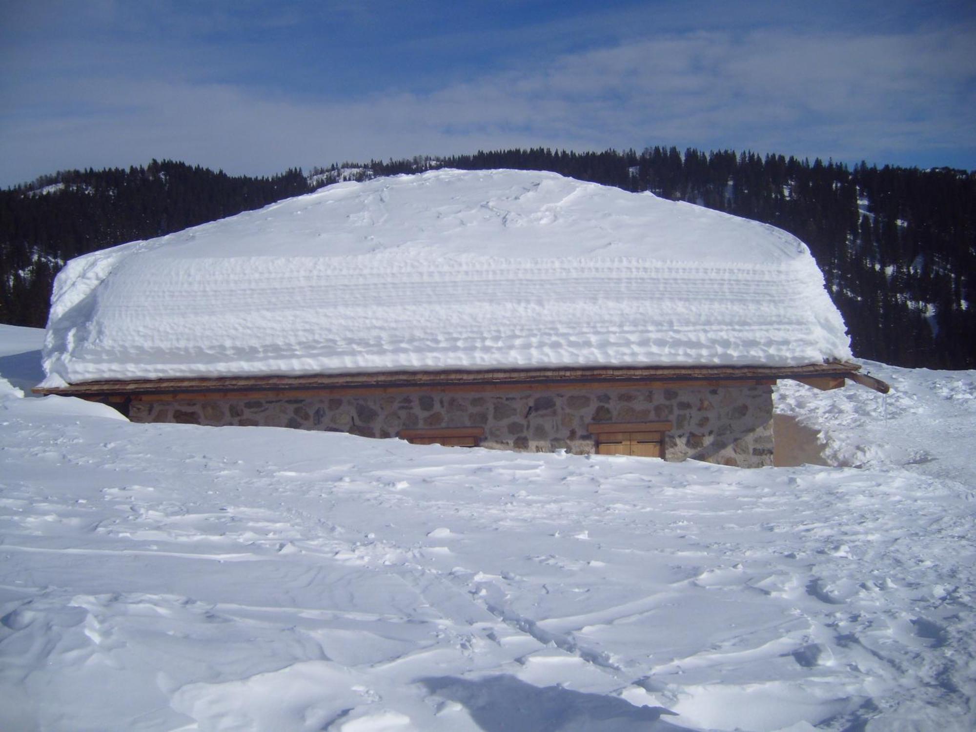 Casa Zucol Lägenhet Sarnonico Exteriör bild