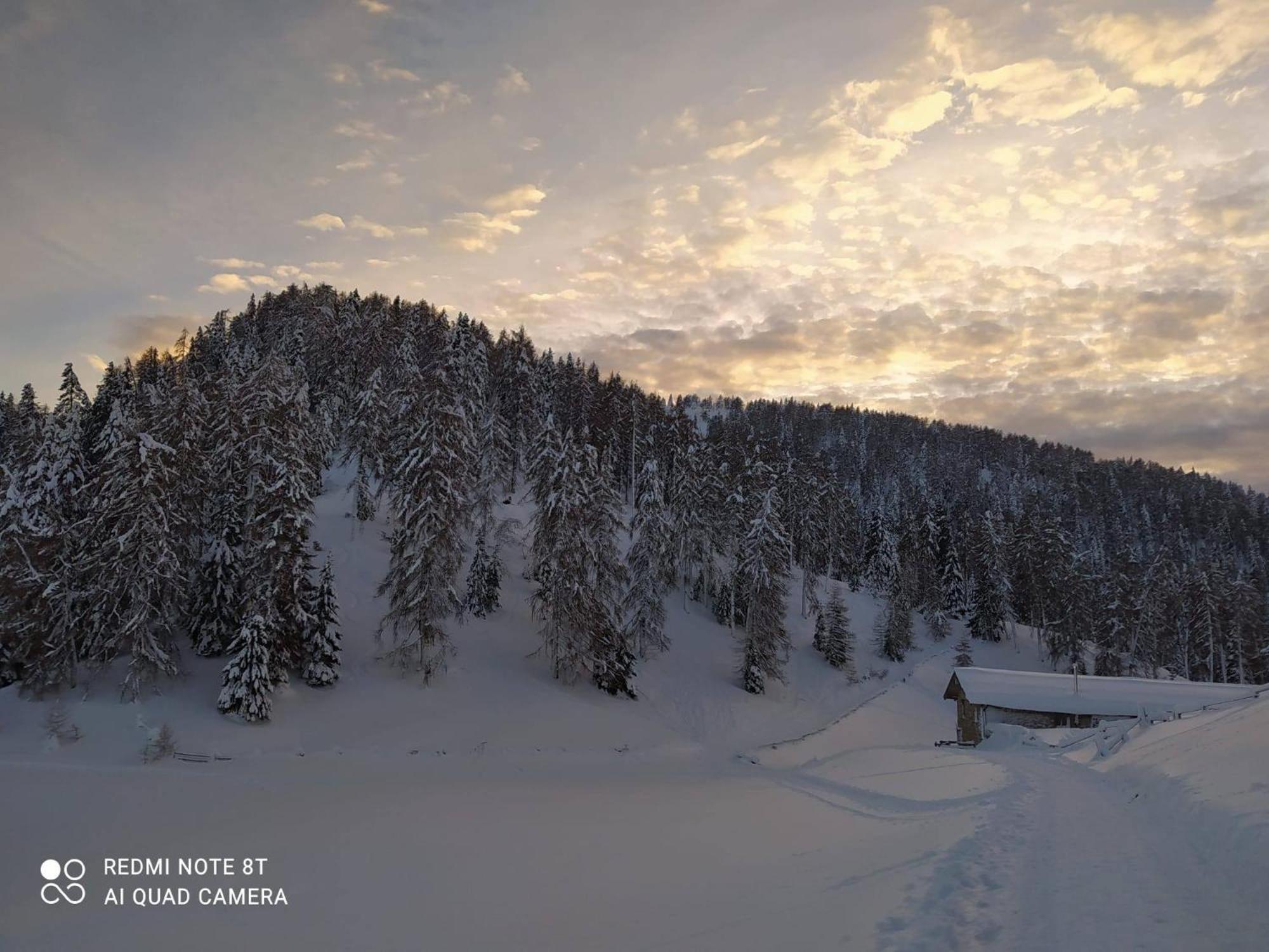 Casa Zucol Lägenhet Sarnonico Exteriör bild