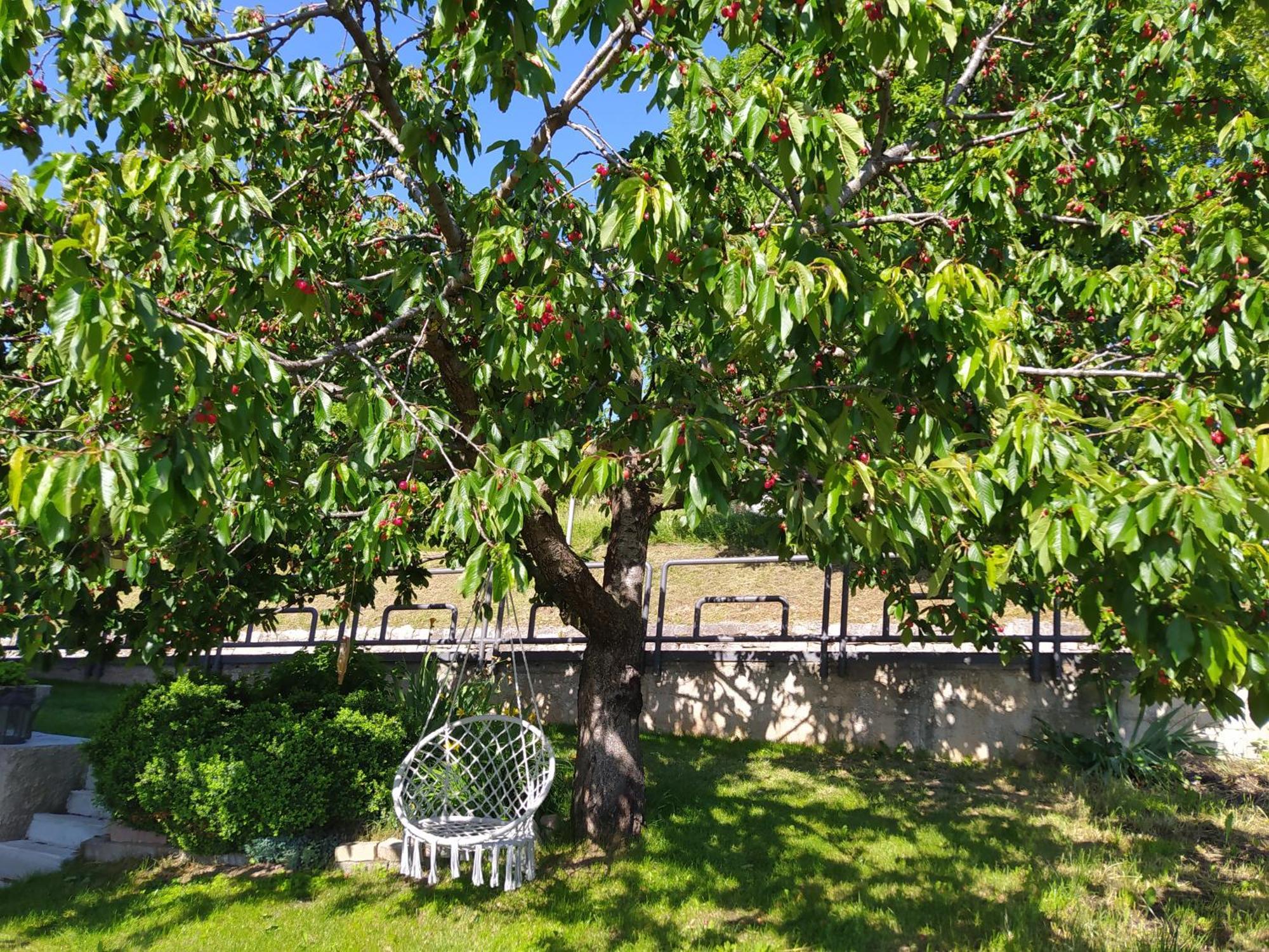 Casa Zucol Lägenhet Sarnonico Exteriör bild