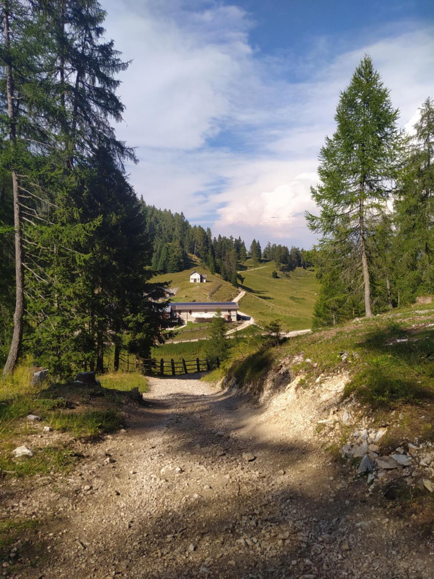 Casa Zucol Lägenhet Sarnonico Exteriör bild