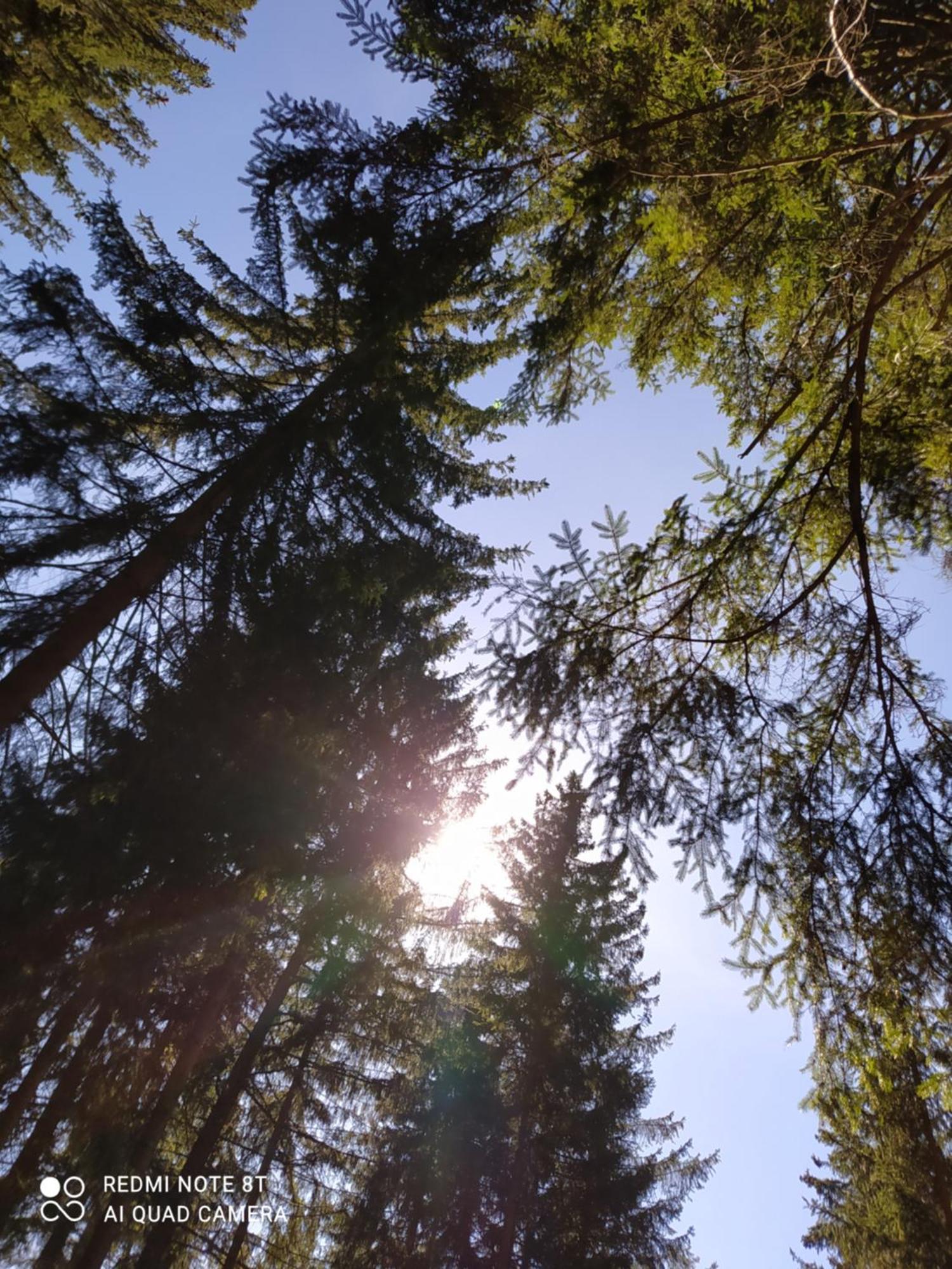 Casa Zucol Lägenhet Sarnonico Exteriör bild