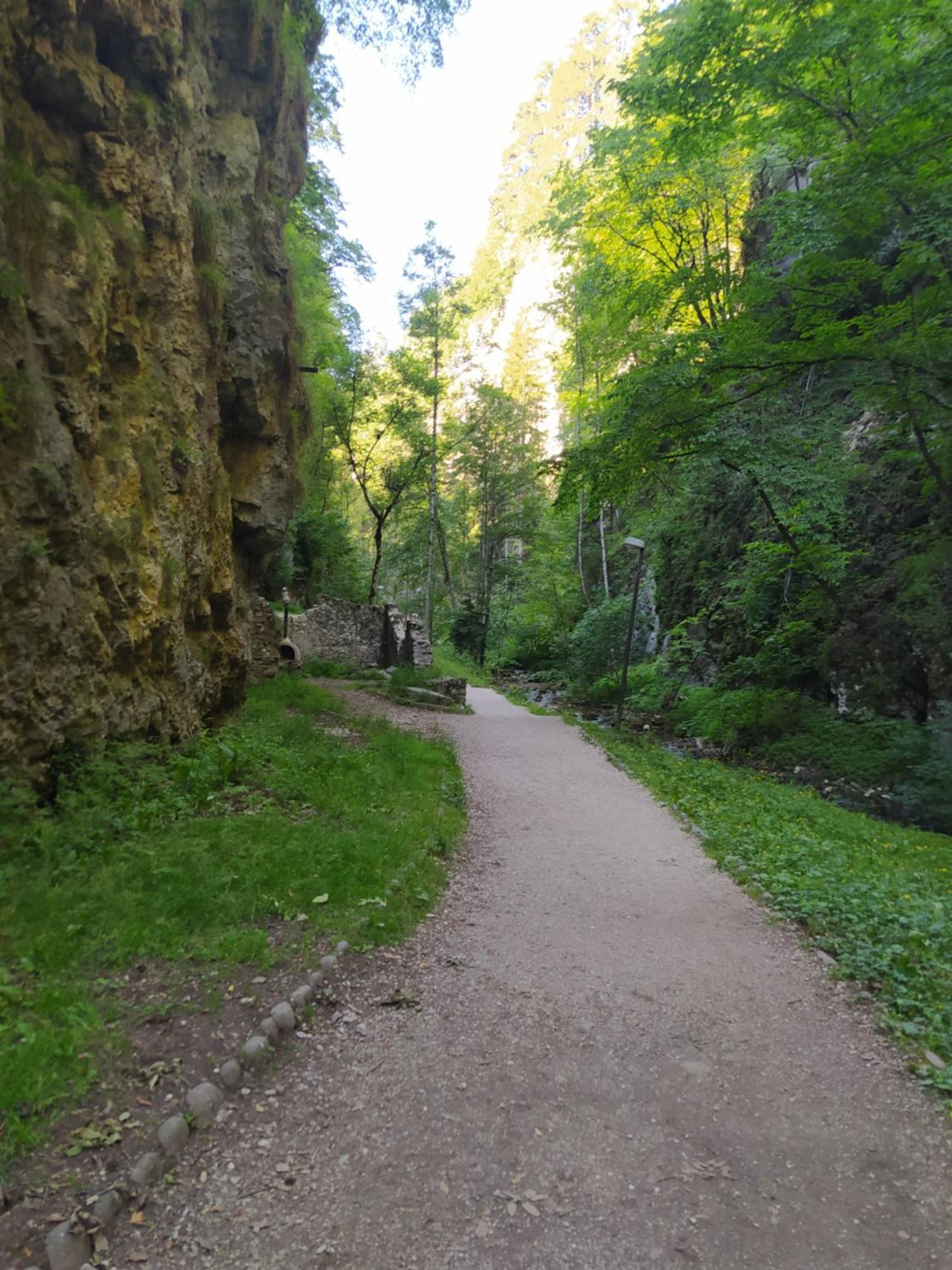 Casa Zucol Lägenhet Sarnonico Exteriör bild