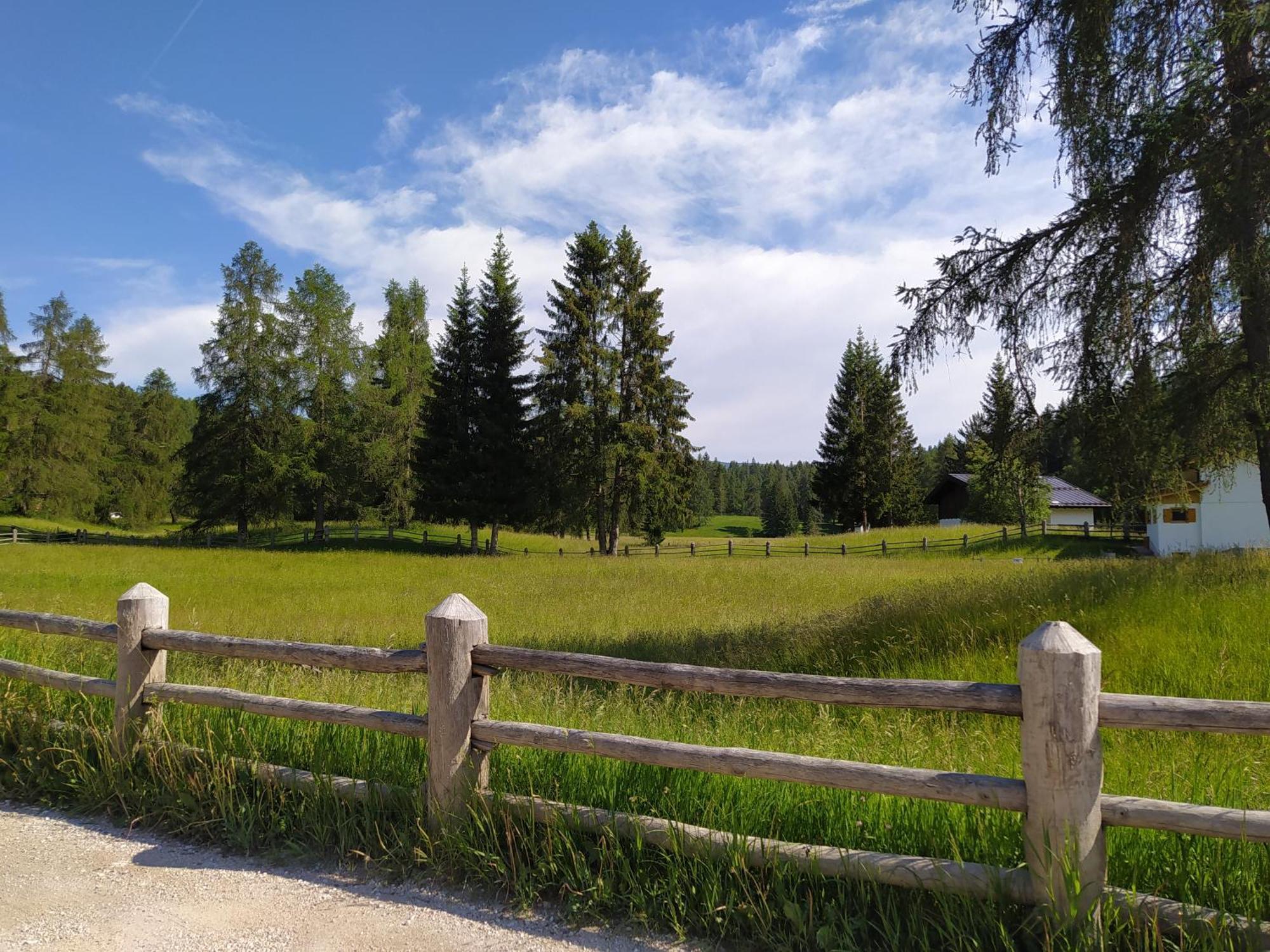 Casa Zucol Lägenhet Sarnonico Exteriör bild