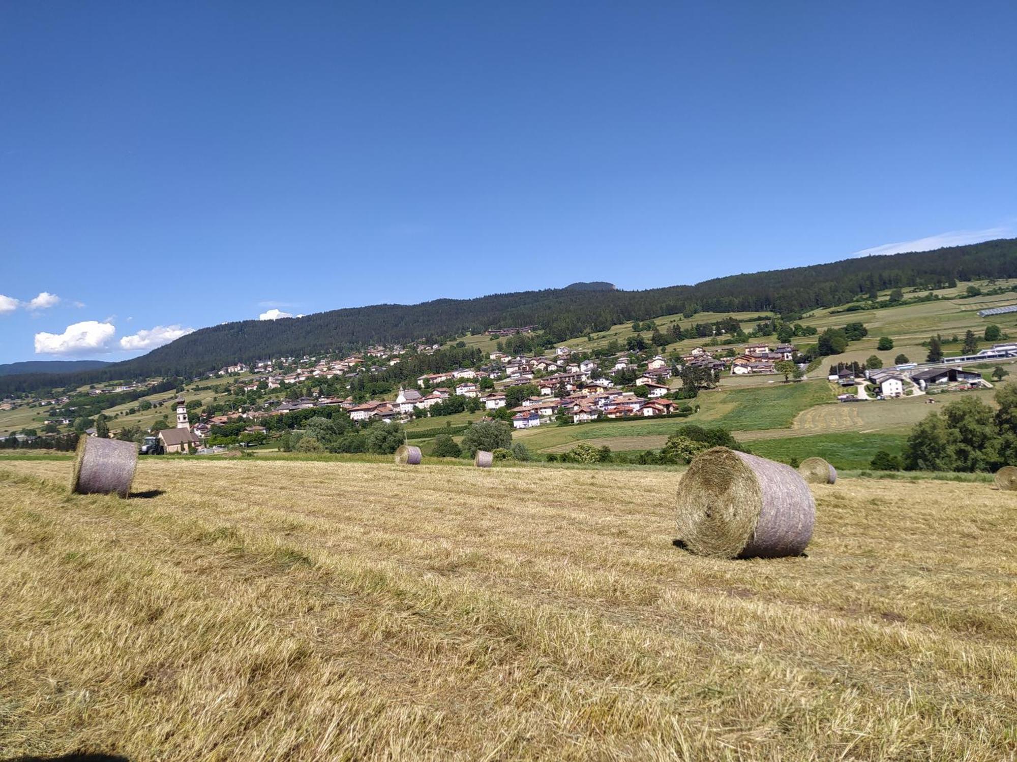 Casa Zucol Lägenhet Sarnonico Exteriör bild
