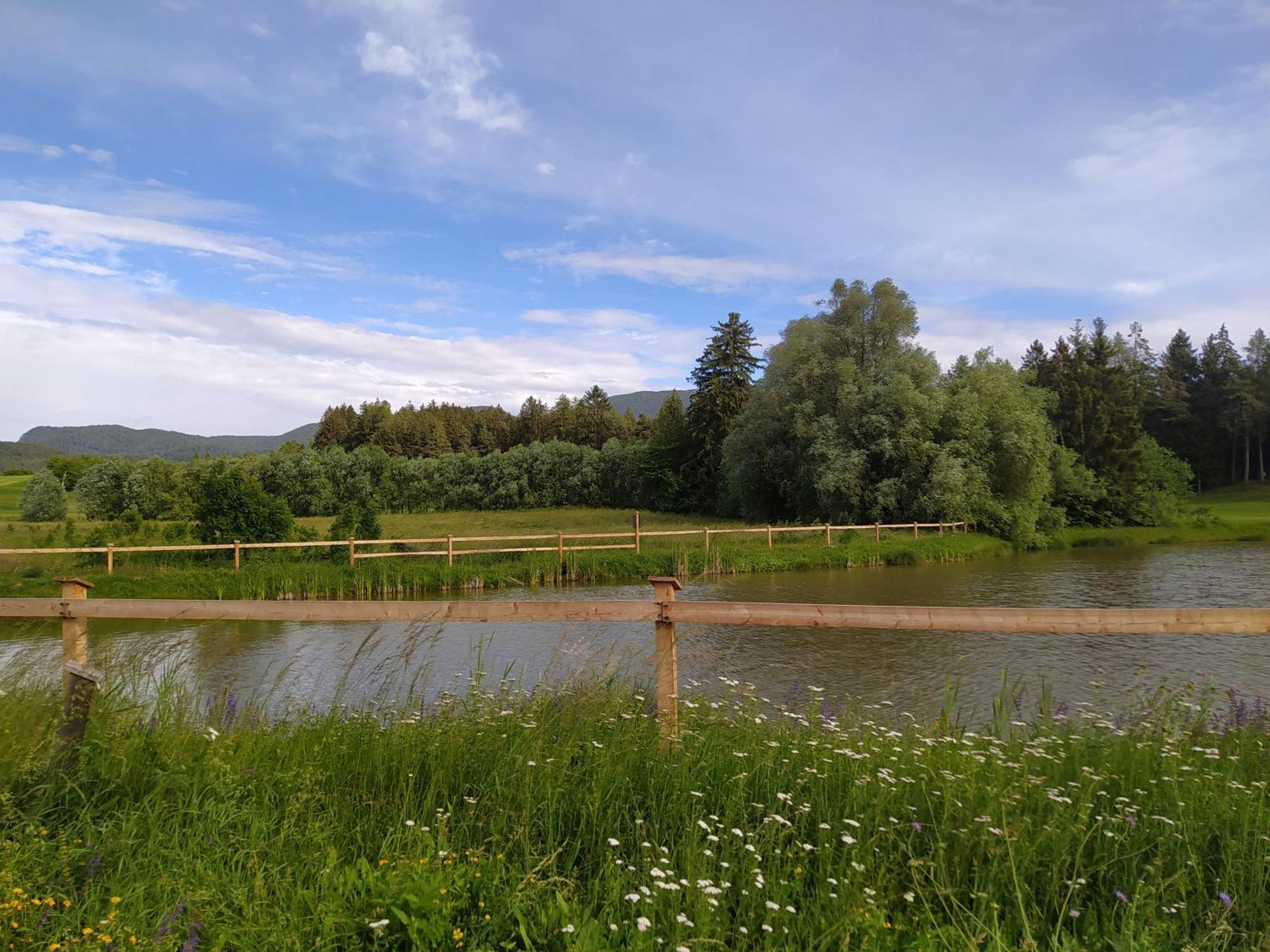 Casa Zucol Lägenhet Sarnonico Exteriör bild