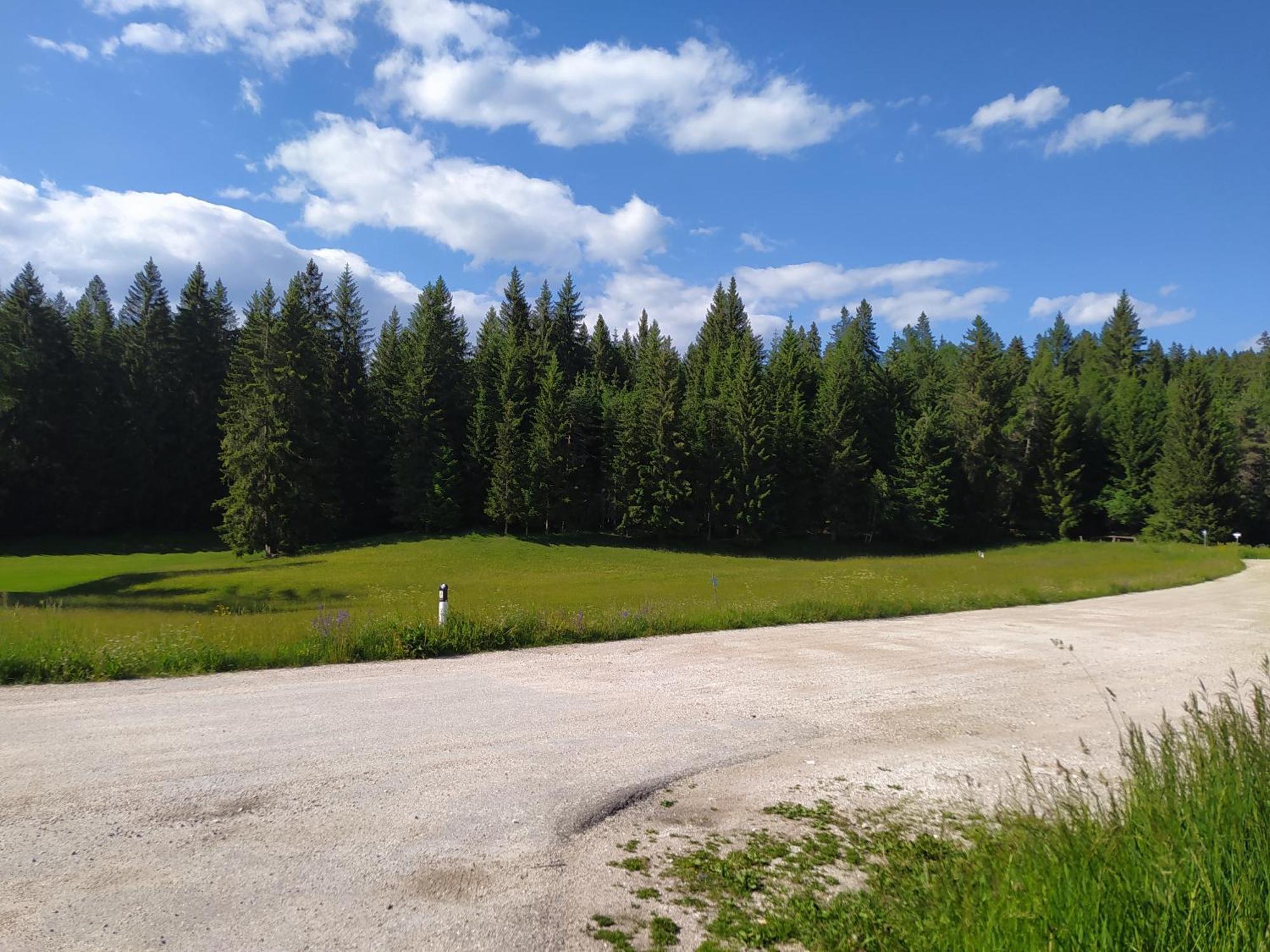 Casa Zucol Lägenhet Sarnonico Exteriör bild